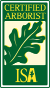 Portland tree care ISA certified arborist