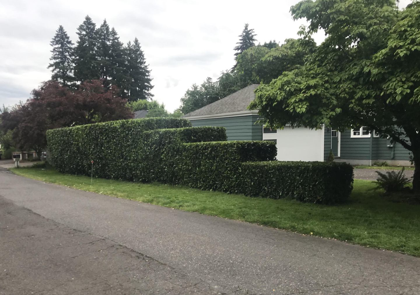 hedge trimming and shrub trimming in Portland Oregon