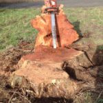 stump grinding Canby